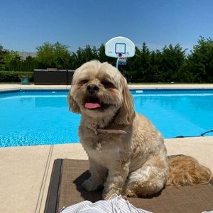 Meet your Posher, Julia